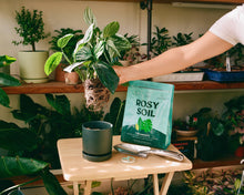 Load image into Gallery viewer, 4qt Organic potting soil mix, indoor, houseplant & herbs