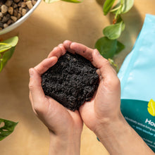 Load image into Gallery viewer, 4qt Organic potting soil mix, indoor, houseplant & herbs