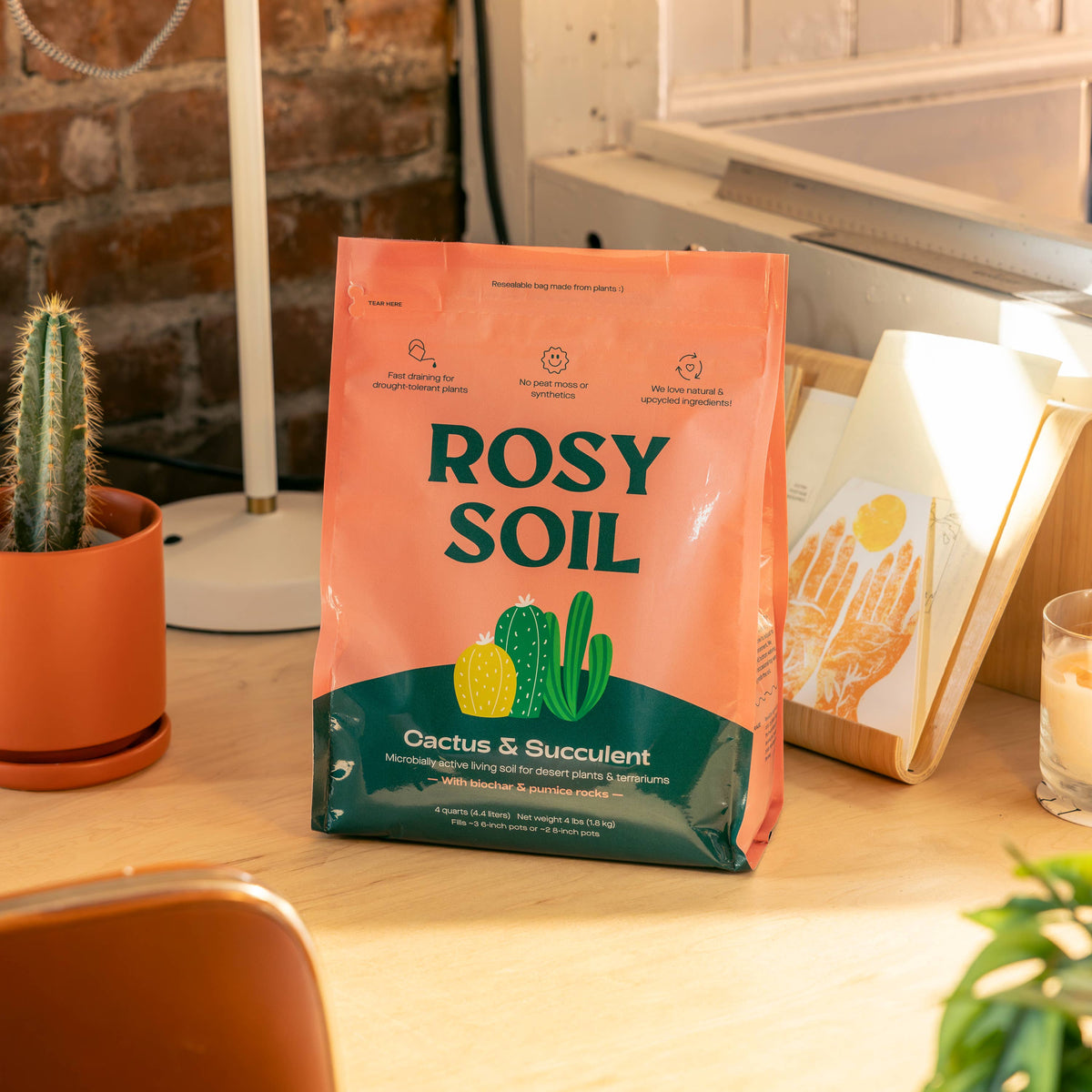 succulent peat moss 4qt Organic Cactus & Succulent Mix – Minimal Optimist, LLC