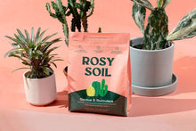 Load image into Gallery viewer, 4qt Organic Cactus & Succulent Mix