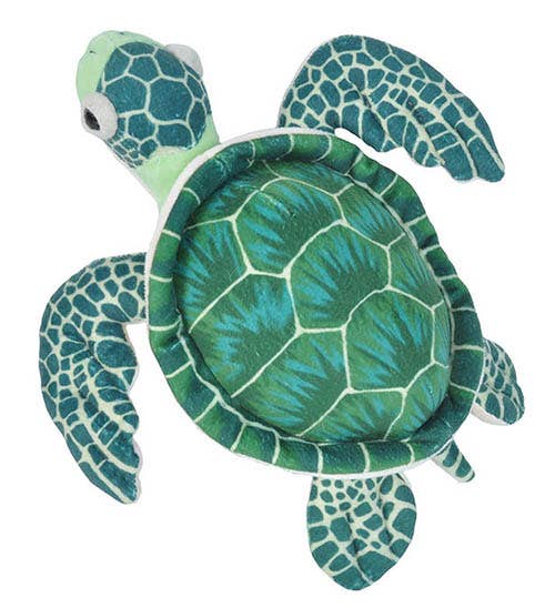 CK-Mini Green Sea Turtle Stuffed Animal 8