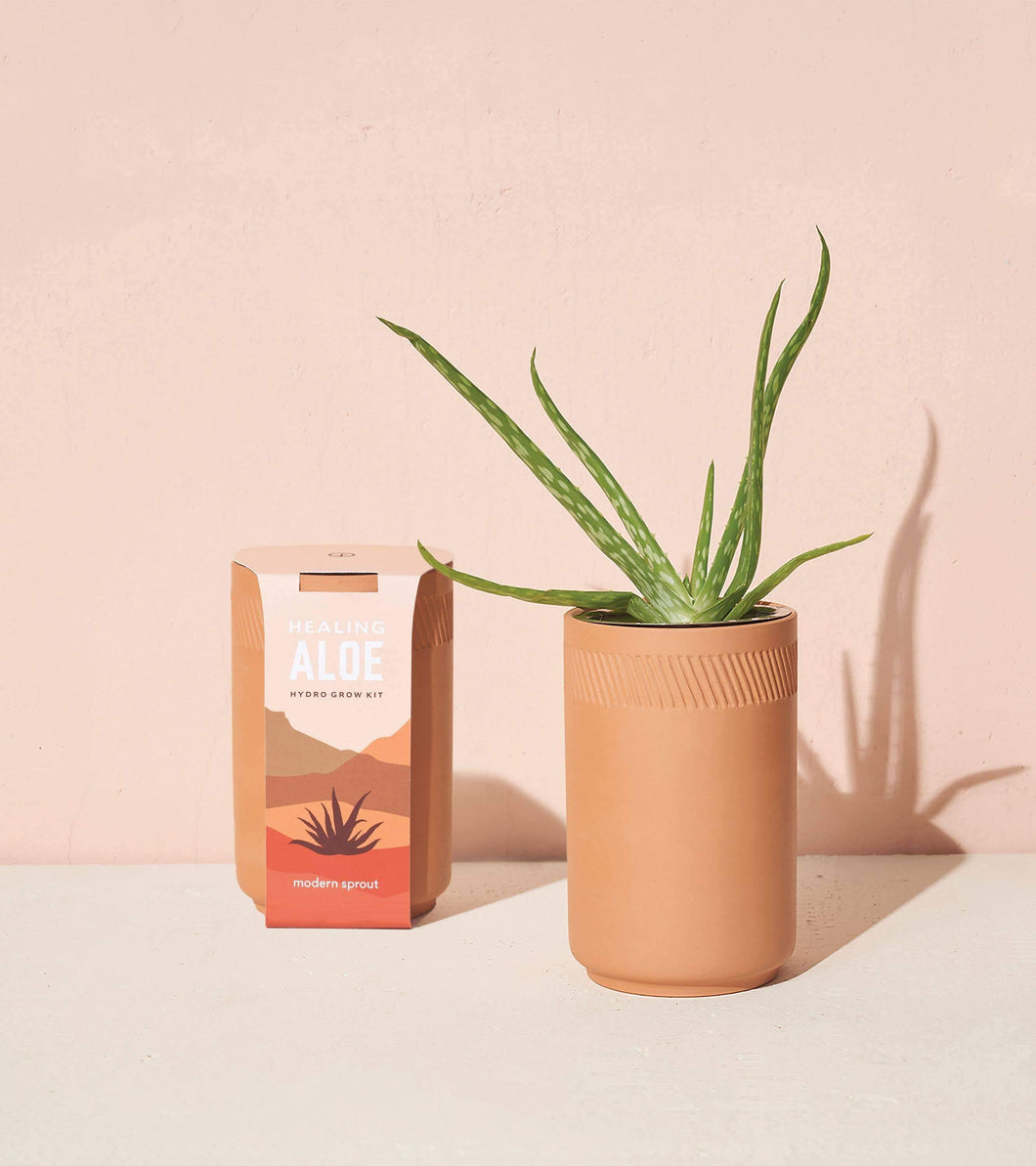Terracotta Kit - Aloe - Minimal Optimist, LLC