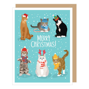 Cats Christmas Card Boxed Set (8 Card Set)