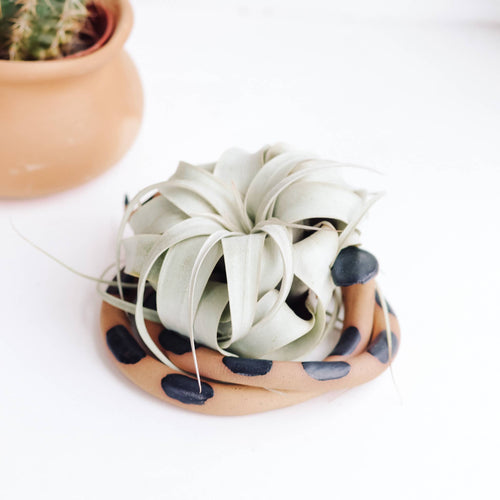 Carter & Rose Large Ceramic Snake