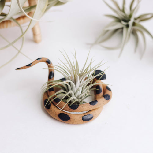 Carter & Rose Medium Ceramic Snake