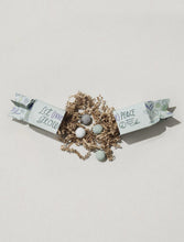 wildflower seed popper Seed Popper with Non-Invasive Wildflower Seeds – Minimal Optimist, LLC